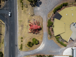 The South australian giant crayfish/lobster