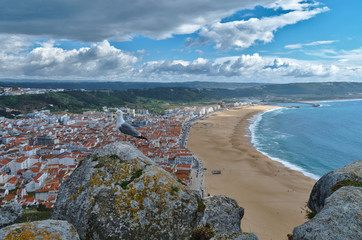 Fototapeta na wymiar Seagull on rock with the village of Nazare on the background. In Portugal