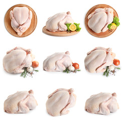 Set of raw turkey on white background