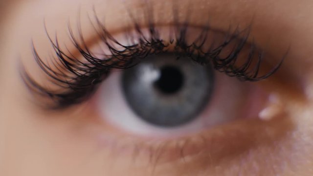 Female macro woman eye with long eyelashes close up, hollywood length beauty salon