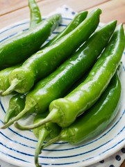 한국의 유기농 녹색 고추