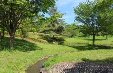 風景　新緑　緑　池　木　空　爽やか　茨城