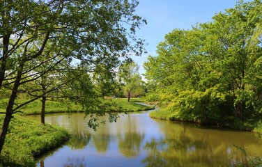Fototapeta premium 風景 新緑 緑 池 木 空 爽やか 茨城