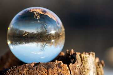 Clear Quartz Sphere on bark, rhytidome,  reflecting lake, forest and sky.