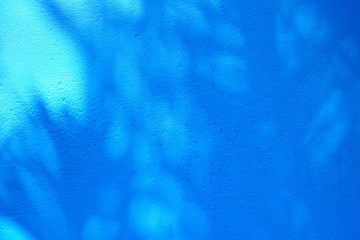 Shadow of Leaves on Blue Painting Concrete Wall Background.