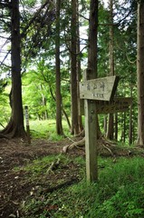 秦野峠