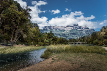 Fototapeta na wymiar patagonia landscape. mountains and trees