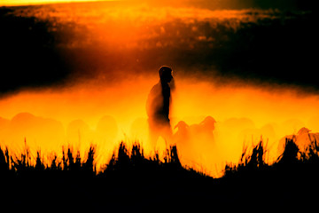 Sunset and shepherd. Red and black nature background. 