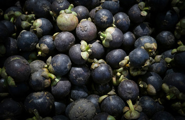 Garcinia mangostana Linn. Famous tropic fruit in Thailand