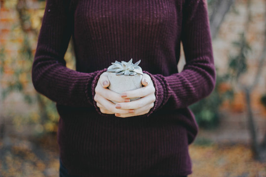 Manos sosteniendo planta 