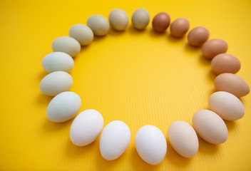 Multicolored Fresh Organic Chicken Eggs Arranged on Yellow Background