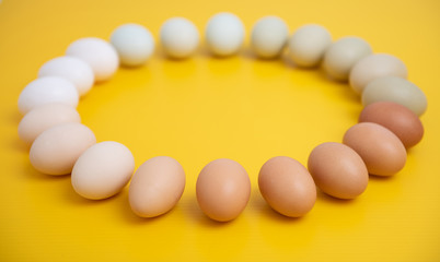Multicolored Fresh Organic Chicken Eggs Arranged on Yellow Background