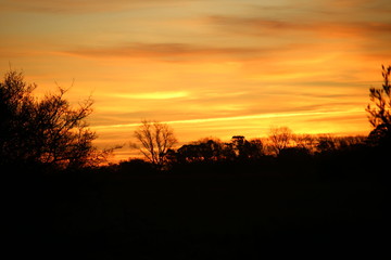 Fototapeta na wymiar Sunset 