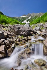 Karasawa valley / Japan  ~  fresh green season