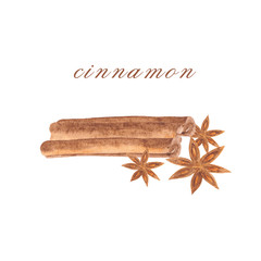  Watercolor illustration of spices cinnamon.