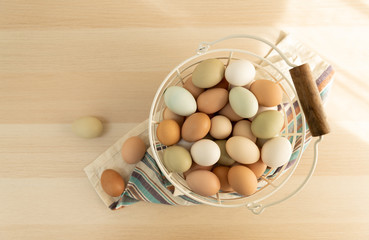 Multicolored Fresh Organic Chicken Eggs in Basket