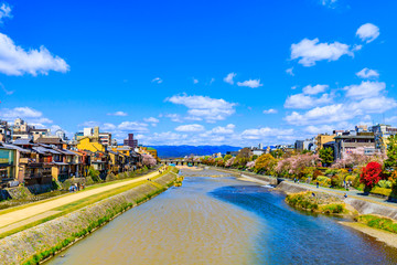 Fototapeta premium 京都の街並み
