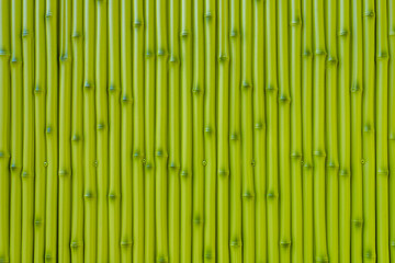 緑色の竹・テクスチャ