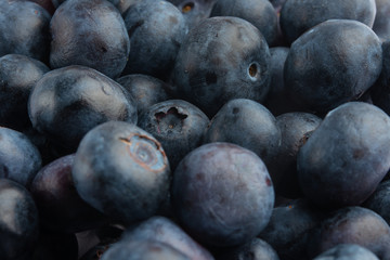 blueberry, texture closeup, background, berries
