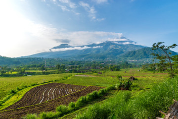 Rice fields and vegetable gardens in the mountains