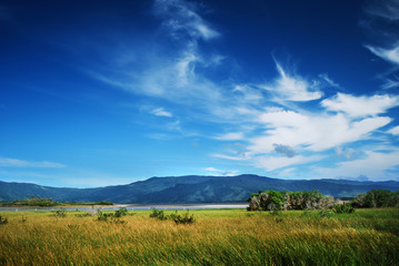 Obraz premium landscape
