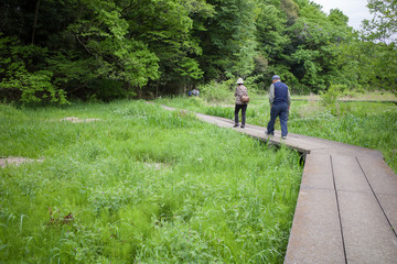Fototapeta premium old man and woman hiking in the wetland