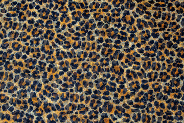 Leopard print, fabric pattern