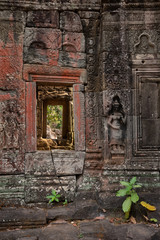 Fototapeta na wymiar Impressive Facade Banteay Kdei Temple, Angkor, Siem Reap, Cambodia