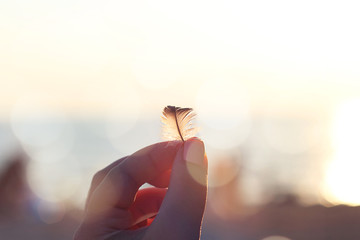 The hand holds in his fingers a feather, against the background of the blue sea, a bright sunset or sunrise. Blurred image. Selective focus, close-up.