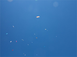 Parapentes au Ballon d'Alsace en France