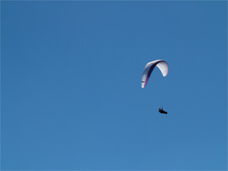 Parapentes au Ballon d'Alsace en France