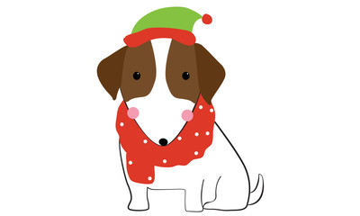 Cute dogs wearing Santa clause hat