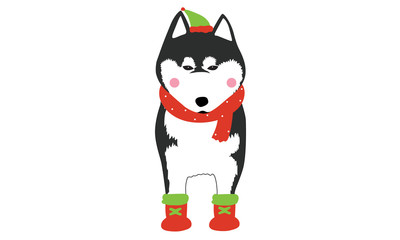 Cute dogs wearing Santa clause hat