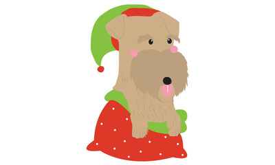 Cute dogs wearing Santa clause hat