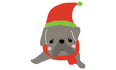 Cute dogs wearing Santa clause hat