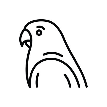 Black line icon for parakeet popinjay 