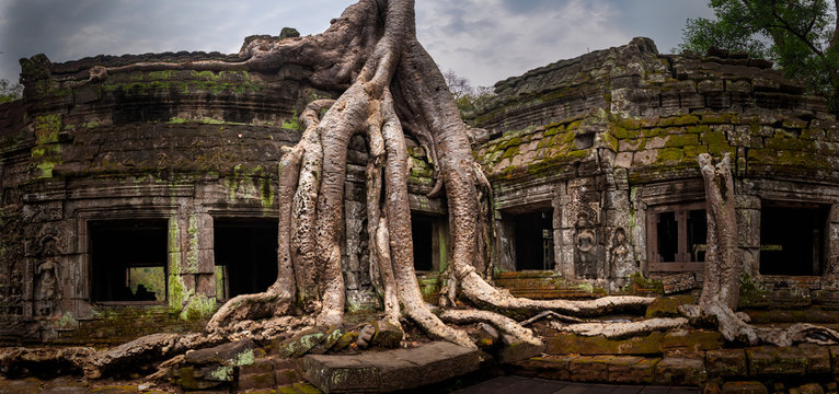 Overgrown Ta Prohm Temple, Angkor, Siem Reap, Cambodia