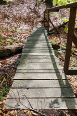 Fototapeta premium Forest wooden bridge in the woods