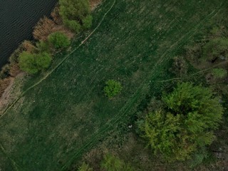 aerial view of the forest in Minsk Region of Belarus