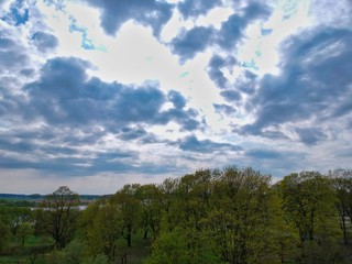 landscape with trees and blue sky