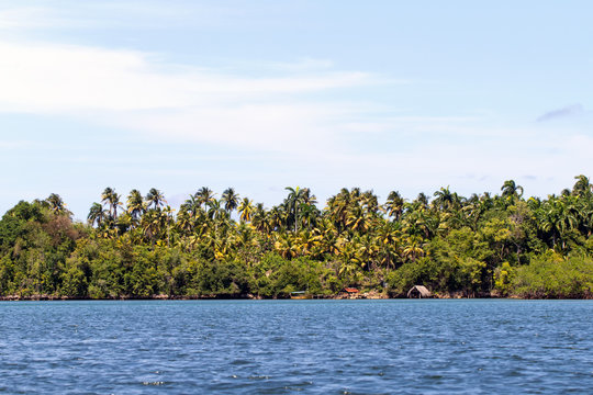 Alejandro De Humboldt National Park In Cuba