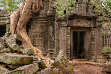 Mystical Overgrown Ta Prohm Temple, Angkor, Cambodia - 265254150
