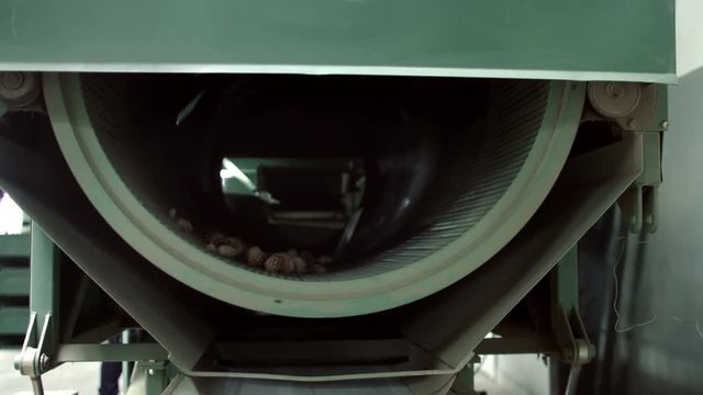 Machine for scaling of cones. Equipment for processing cones of coniferous trees