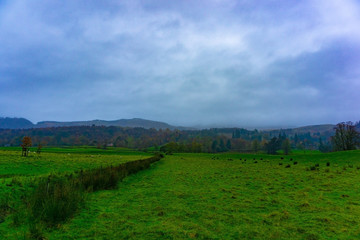 Fototapeta na wymiar Green grass field Farmland in Kilmahog, Highlands, Scotland in cloudy day