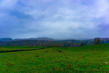 Fototapeta na wymiar Green grass field Farmland in Kilmahog, Highlands, Scotland in cloudy day