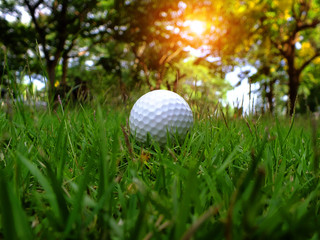 Golf on a green field on a beautiful natural background