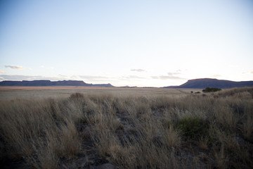 The dry and arid Karoo veld in the summertime, near Gariep dam, South Africa.