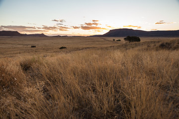 Obraz premium The dry and arid Karoo veld in the summertime, near Gariep dam, South Africa.