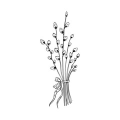 Hand drawn willow branch, symbol of Happy Easter, vector ink sketch illustration isolated on white, decorative floral bouquet verba with bow vintage herbs for design greeting card, floral invitation
