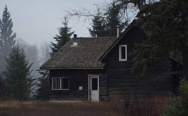 old homestead